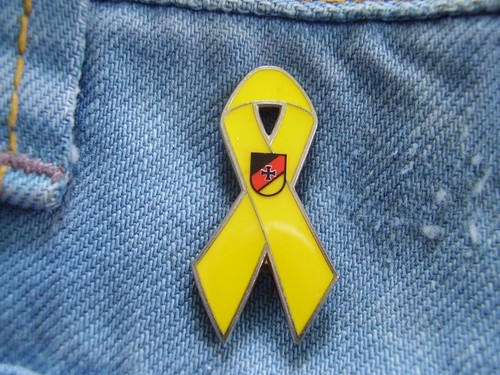 Pin bundeswehr gelbe - bundeswehr,