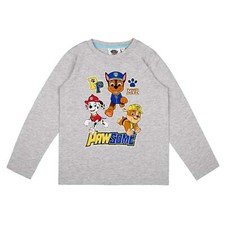 Paw Patrol Jungen Langarmshirt Sweatshirt Grau