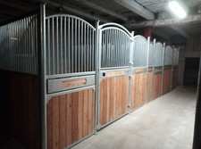 Vorderfront Luna Pferdebox