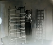 Glass Plates Negative Circa