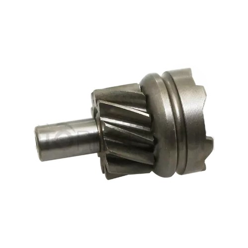 Anlasserzahnrad 100254620