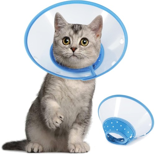 Halskrause für katzen - für,