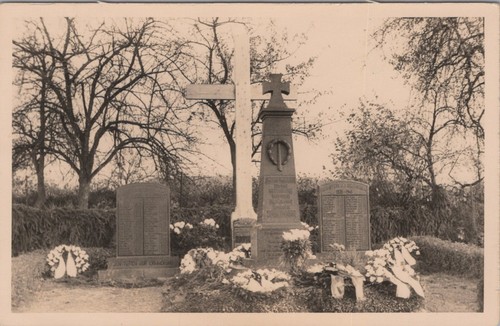 Foto klein eichen - foto-ak, grünberg