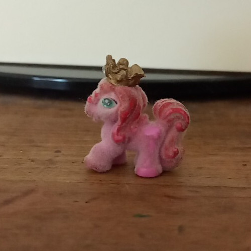 Filly horse little - filly, (single)