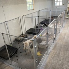 Welpenauslauf xxl - welpenauslauf, h-80