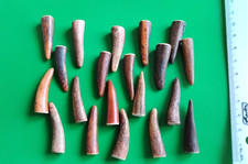 Echt Hirschhorn 20 Stück schlanke - Geweih Spitzen 35 mm -Schnitt : ca. 8 -10 mm