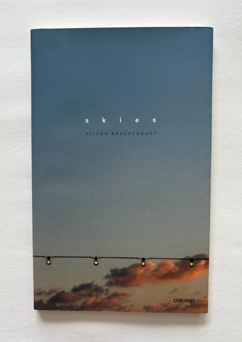 Skies alison brackenbury - by,