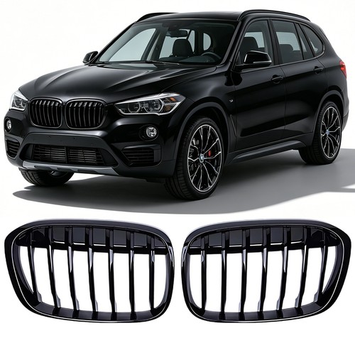 Nieren grill glanz schwarz - glanz,