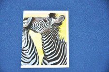 REWE Unsere WUNDERWELT Nr. 133 Zebra Sticker
