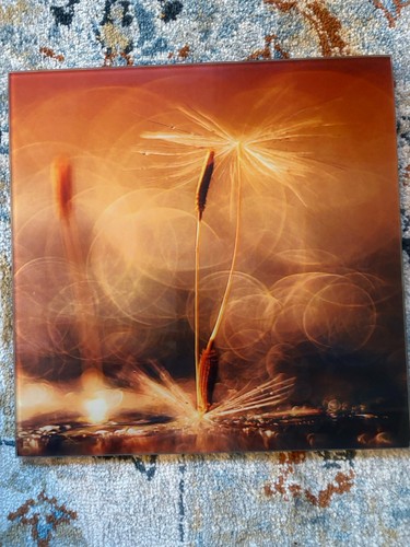 Ein glasbild 20x20cm - ein,