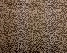 CLARENCE HOUSE KALAHARI
