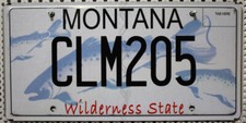 Montana Nummernschild USA Auto Kennzeichen US License Plate MOTIV: Fische CLM