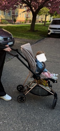 Kinderwagen cybex mios - kinderwagen,