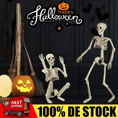 Skelett halloween lebensgroß - skelett,