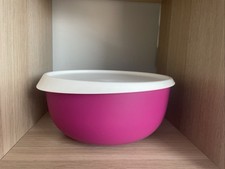 Tupperware Ergonomica