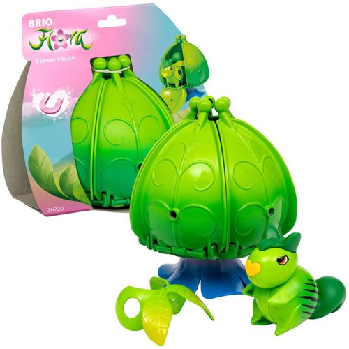 Brio flora ivys - -,