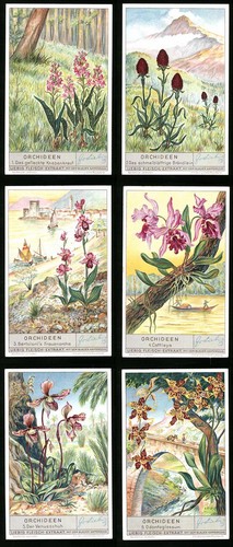 Sammelbilder liebig serie - liebig,,
