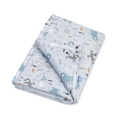 Julius Zöllner Decke