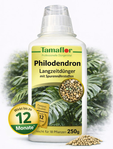 Dünger monstera philodendron - ,