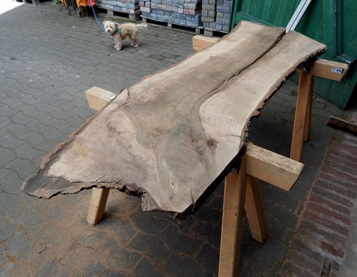 Nussbaum walnuss 197x57 - n1,