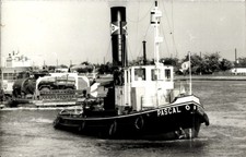 Foto Ak Rumänien, Dampfer