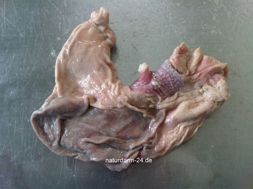 Schweinemagen made germany - made, in