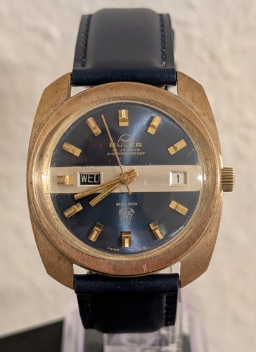 Blue buler bulldog swiss - bulldog,