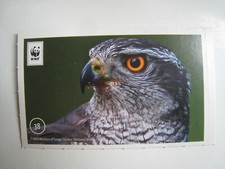 Sammelsticker "Unser Wald" -