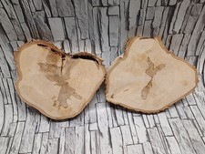 F1 (8,99/St) 2 Baumscheiben