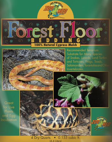Zoo med forest floor - forest, l