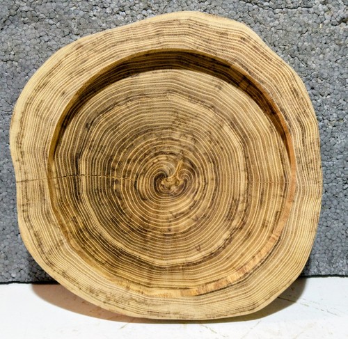Baumscheibe holzscheibe - baumscheibe,,