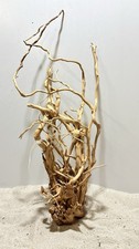 Drachenwurzel curl wurzel - drachenwurzel,,