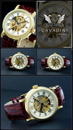 Cavadini pollux skelettierte - cavadini,