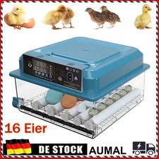 Automatischer Brutkasten