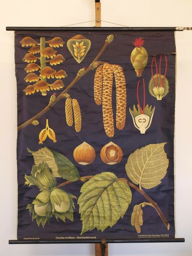 Schönes wandbild jkq - schönes,