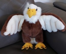 Weißkopfseeadler Adler
