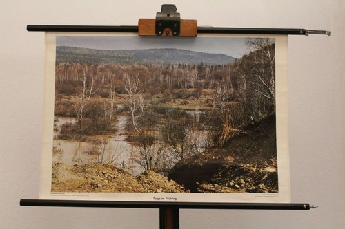 Schulwandkarte taiga frühling - schulwandkarte,