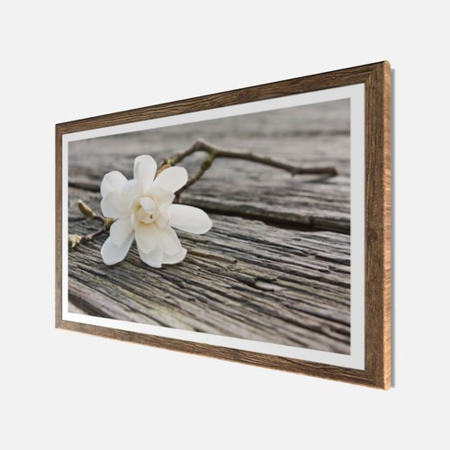 Wandbild gerahmt blüte auf - wandbild,