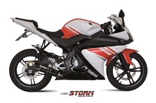 STORM GP-C Auspuff