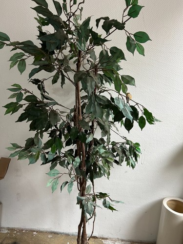 Kunstbaum ficus benjamin 180 - kunstbaum, ficus-benjamin