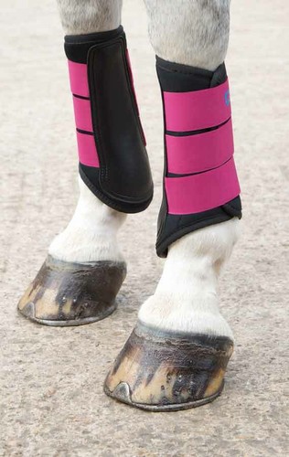 Shires arma neopren pony - arma,