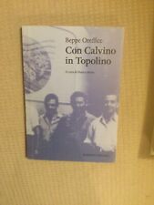 Beppe Oreffice MIT CALVIN IN