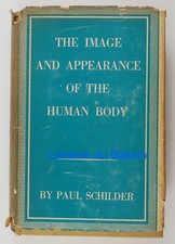 Das Bild und die Erscheinung