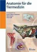 Anatomie für die Tiermedizin Buch Enke