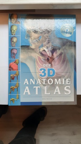 Der anatomie atlas - 3d,