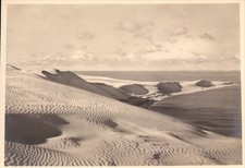 Foto-AK KURISCHE NEHRUNG /KURSIU NERINGA Dünen, Foto Stallbaum, Königberg 30er