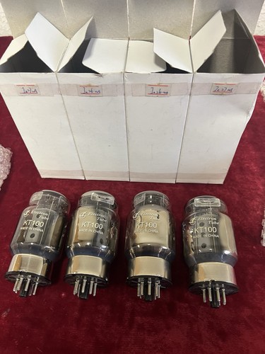 100 stück shipment - kt,