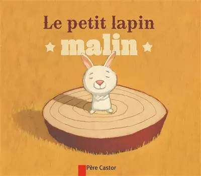 Petit lapin malin robert - petit,