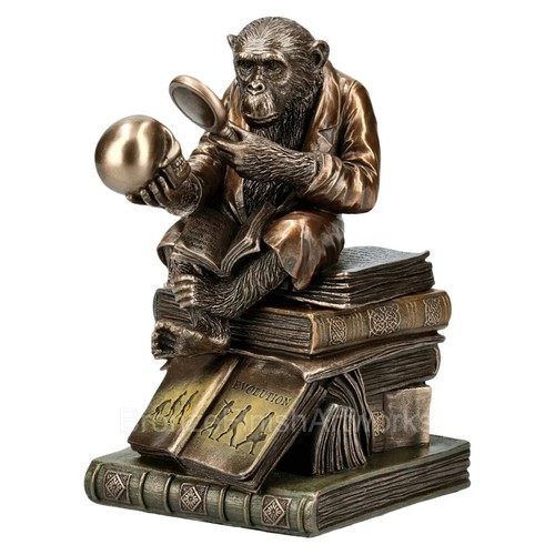 Affe auf schädel darwinismus - schädel,
