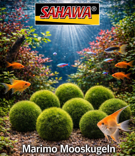 Sahawa mooskugeln 3 xl - mooskugeln,